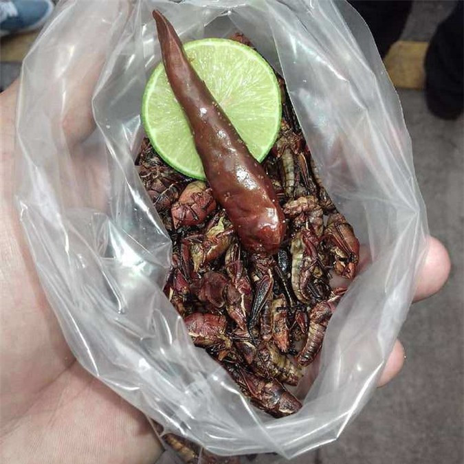 Mexico: Chapulines là món dế chiên độc đáo ở Mexico. 