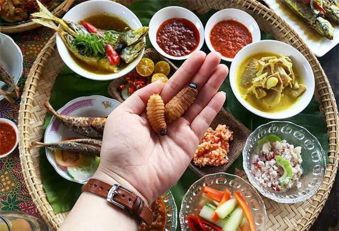 Malaysia: Sago worm là một món ăn " kinh dị" nhưng khá phổ biến ở Malaysia. Người Malaysia cho rằng những con sâu này trông nó đáng sợ nhưng bổ dưỡng. 