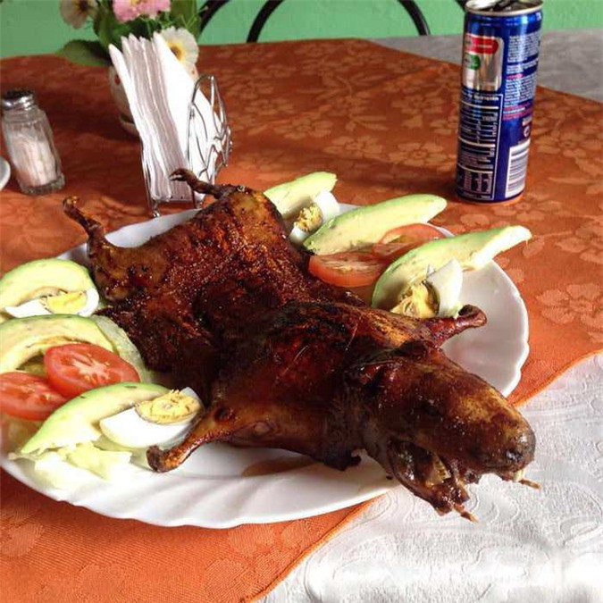 Ecuador: Cuy asado - món chuột lang nướng nguyên con. 