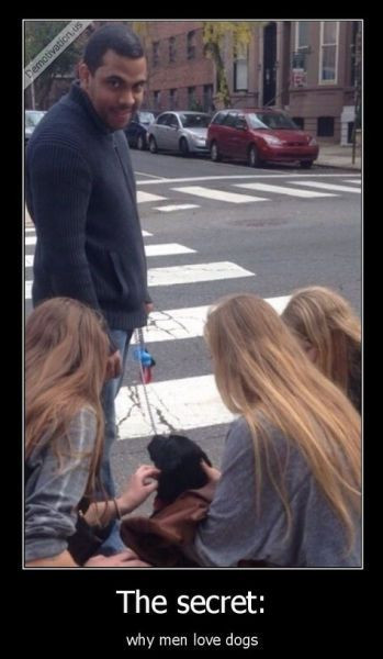 Lý do đàn ông yêu chó.