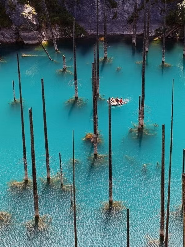 Nhìn thừ xa khu rừng này dường như có vô vàn ngọn giáo đâm thẳng lên bầu trời.