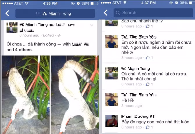 Chú mèo tội nghiệp bị mắc bẫy.