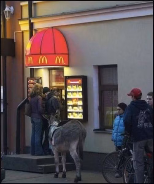 Xếp hàng mua đồ ăn nhanh.