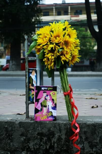 Hoa hướng dương cũng có thể giúp đôi lứa nói thay bao điều.