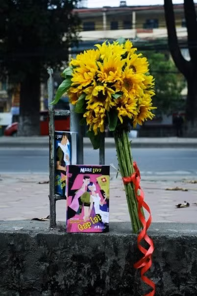 Hoa hướng dương cũng có thể giúp đôi lứa nói thay bao điều.