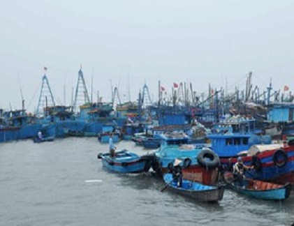 Ảnh minh họa. Nguồn: TTXVN.