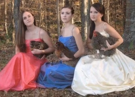 "Bạn nhảy" của các cô gái trong bữa tiệc cuối cấp ư?