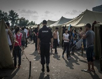 Mot nguoi Viet bi bat vi doi xu voi dong bao nhu no le