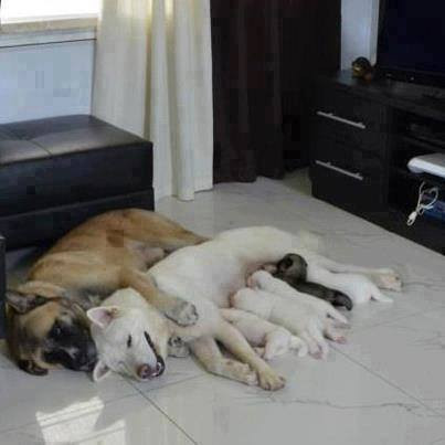 Gia đình hạnh phúc.