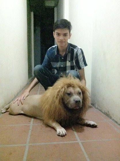 "Cậu chủ ơi! Em không muốn làm sư tử!"