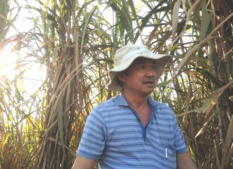 Bau Duc nuoi bo manh tay chi nghin ty cho du an nay