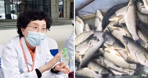 An ca tot hon thit nhung co 8 loai ca trong danh sach den