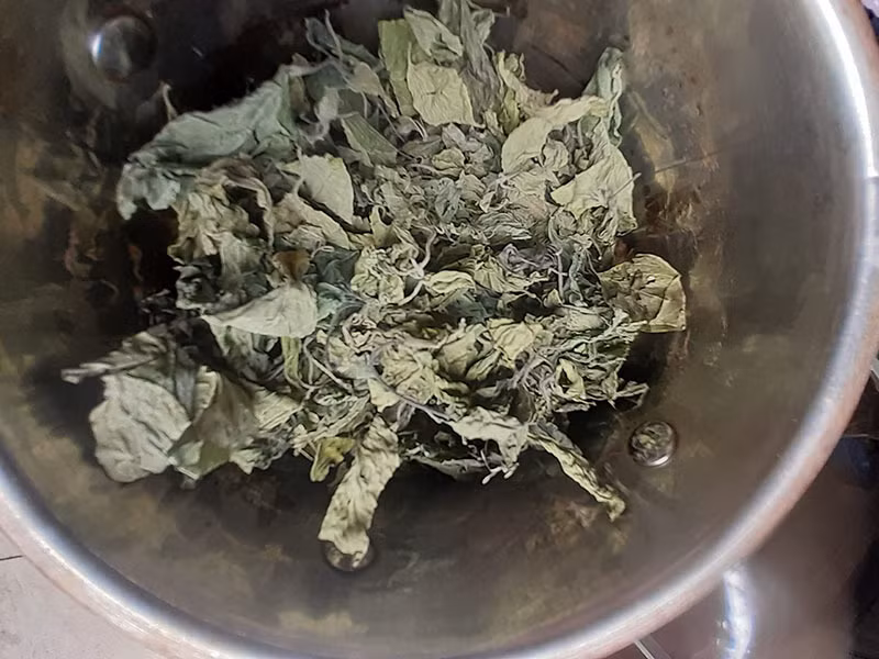 Loai cay moc day vuon nha: Truoc nho cho khong, nay gia gan trieu dong/kg-Hinh-3