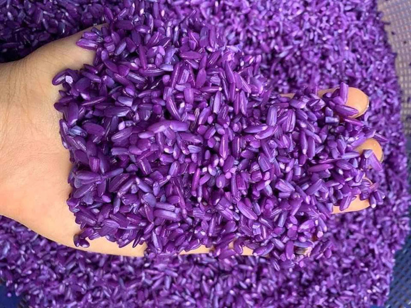 Loai cay moc day vuon nha: Truoc nho cho khong, nay gia gan trieu dong/kg-Hinh-4