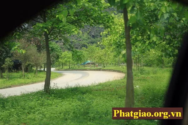 Mọi việc dường như đã hoàn thành trên 97% khối lượng công việc, phần còn lại chỉ là dọn dẹp và căn chỉnh thiết bị làm sao cho các sự kiện diễn ra hoàn mãn như đúng kịch bản đã lên sẵn. Ảnh: Hàng cây bồ đề phía đường ngoài dẫn vào chùa được chăm chút cẩn thận.