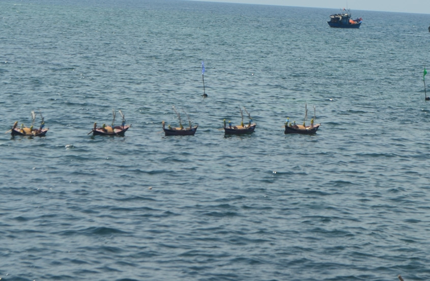  Theo ghi chép trong “Phủ biên tạp lục” của Lê Quý Đôn năm 1776 (từng làm Hiệp trấn xứ Thuận Hóa thế kỷ XVIII) kể rằng: "Nhà Nguyễn thiết lập đội Hoàng Sa gồm 70 suất, lấy người ở An Vĩnh (xã An Vĩnh, huyện đảo Lý Sơn ngày nay) bổ sung. Mỗi năm họ luân phiên nhau đi biển, lấy tháng giêng ra đi nhận lãnh chỉ thị làm sai dịch...