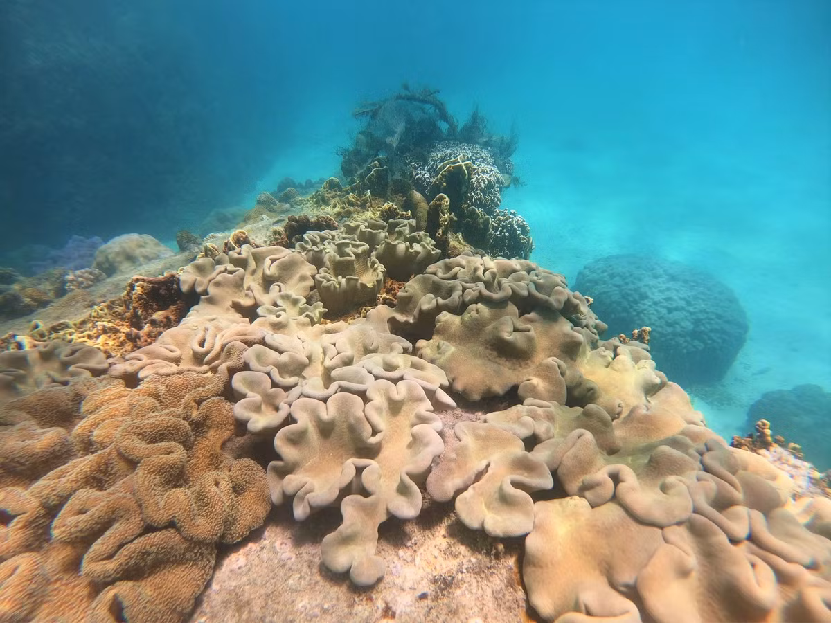 Hon dao thien duong o Binh Thuan-Hinh-2