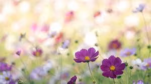 Điểm đặc biệt ở người sinh vào ngày mùng 2 Âm lịch là có ý chí vươn lên, dựa vào bản thân chứ không trông chờ vào người khác. Sau thời gian dài phấn đấu, người sinh vào ngày Âm lịch này đạt được nhiều thành công trong sự nghiệp.