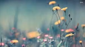  Sinh ngày 18 và 23 Âm lịch. Tử vi học có nói, người sinh ngày 18 Âm lịch sở hữu chỉ số IQ cực cao, khả năng chịu áp lực tốt. Họ thông minh, khôn khéo, có thể ứng phó linh hoạt với các tình huống.