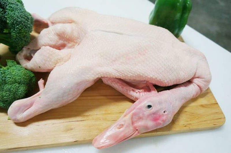 Cách chọn vịt thơm ngon, không chứa chất tăng trọng Cach chon vit thom ngon, khong chua chat tang trong