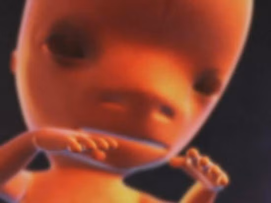 Tuần thứ 16: Các cơ trên mặt bé chuyển động nhiều hơn. Bé đã biết liếc mắt hoặc cau mày. Bé đã có các ngón chân và móng tay, có mi mắt.