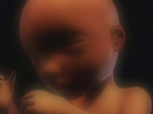 Những tuần cuối cùng trong bụng mẹ cơ thể bé sẽ tiếp tục phát triển hoàn chỉnh cho đến khi chào đời.