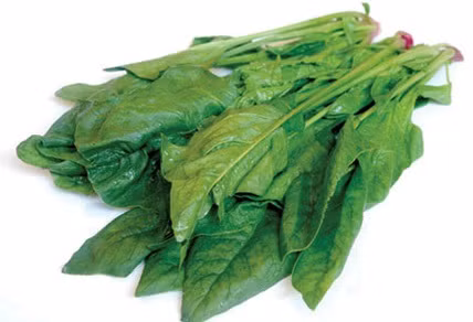 Cải bó xôi. Các chất độc và vi khuẩn không được tống ra khỏi cơ thể sẽ tích tụ thành chất thải, từ đó dẫn đến mụn trứng cá. Các loại rau màu xanh như cải bó xôi rất giàu chất diệp lục giúp loại bỏ vi khuẩn, độc tố ra khỏi đường tiêu hóa và máu. Cải bó xôi rất giàu vitamin A, hoạt động như một tác nhân chống mụn trứng cá.