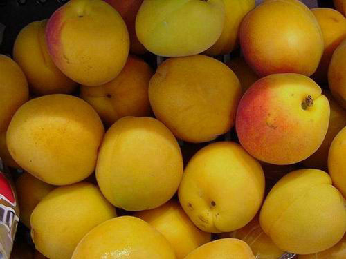 Tắm trắng bằng quả mơ, đường nâu. Quả mơ thường được chị em mua về ngâm thành thức uống giải nhiệt. Mơ có tính mát, chứa nhiều vitamin C và tính axit sẽ giúp tẩy sáng da hiệu quả. Đường nâu không những làm sạch da, tẩy tế bào chết mà nó còn làm săn những vùng da bị nhão, chảy xệ.