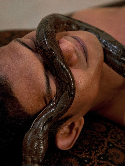 Liệu pháp làm đẹp này khiến không ít người phải giật mình sợ hãi chứ đừng nói gì đến thử.