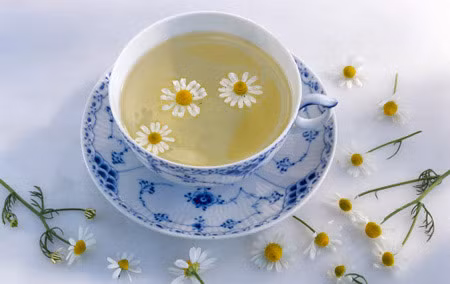 Khác với nước lọc, trà hoa cúc không chỉ giải khát mà còn giải khát cho cơ thể. Trong đó, khả năng thanh nhiệt của trà hoa cúc vị đắng nhẹ màu vàng mạnh nhất, nếu nóng trong người, viêm loét miệng, uống loại nước này sẽ có hiệu quả tức thì.