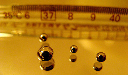 Thủy ngân. Việc sử dụng thủy ngân như thành phần không thể thiếu của mỹ phẩm hiện đại nhận được nhiều chỉ trích gay gắt trong những năm gần đây. Trước đó, chất này được sử dụng chủ yếu và hợp pháp trong việc khắc phục những vấn đề về da như mụn, ban đỏ, nám,… Khi được hấp thụ vào da, thủy ngân hoạt động như 1 liều thuốc độc làm nảy sinh các biến chứng khó lường như: dị tật bẩm sinh, suy gan, thận, trầm cảm,… và cuối cùng là cái chết.