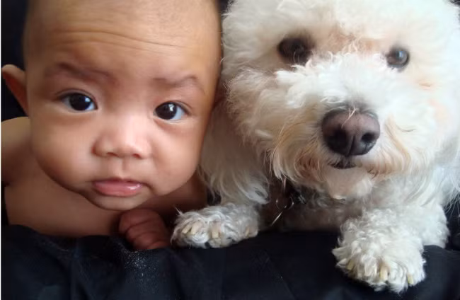 Cùng chụp ảnh "cute" nhé!