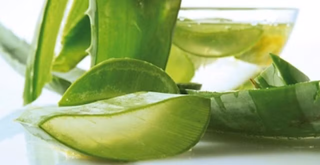 Nước nha đam. Đây là một loại nước ép khác có tác dụng làm sạch mụn và loại bỏ vết thâm. Nha đam cũng rất hiệu quả để có một làn da mịn màng, mềm mại và sạch mụn.