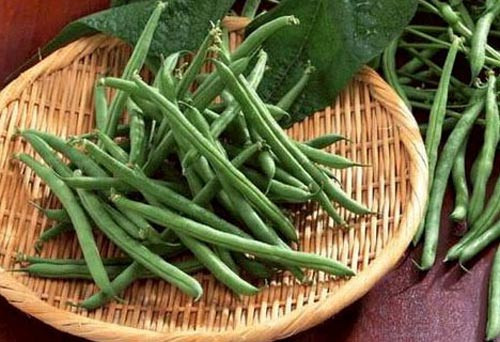 Không cho con ăn các loại đậu quá sớm. Có thể trẻ thích ăn các món ăn được chế biến từ đậu. Tuy nhiên các chuyên gia sức khỏe cho biết rằng người lớn không nên để trẻ ăn các loại đậu quá sớm vì điều này có thể khiến trẻ bị dị ứng với protein có chứa trong đậu.