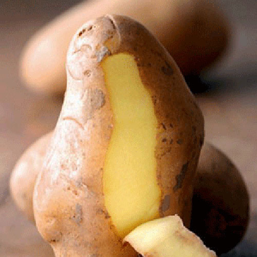 Vỏ khoai tây giữ màu tóc. Bạn muốn có mái tóc nâu vàng tự nhiên, óng ả? Vỏ khoai tây có thể được đun sôi trong nước và sau đó được sử dụng như một loại thuốc nhuộm sau khi gội đầu, giúp cho bạn có được mái tóc ánh nâu vàng tự nhiên.