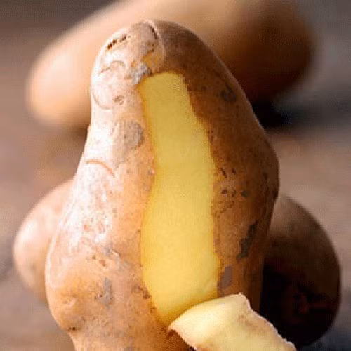 Vỏ khoai tây giữ màu tóc. Bạn muốn có mái tóc nâu vàng tự nhiên, óng ả? Vỏ khoai tây có thể được đun sôi trong nước và sau đó được sử dụng như một loại thuốc nhuộm sau khi gội đầu, giúp cho bạn có được mái tóc ánh nâu vàng tự nhiên.