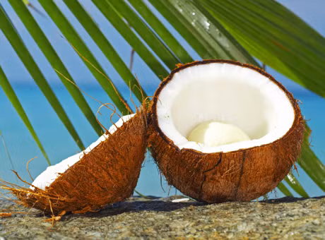 Trong 80g cơm dừa có chứa 238 calo, 23,3g chất béo bão hòa, 1,1 chất béo đơn không bão hòa... Vì thế nếu bạn đang ăn kiêng thì tốt nhất hạn chế tiêu thụ dừa vì nó làm tăng lượng calo mà bạn hấp thụ.