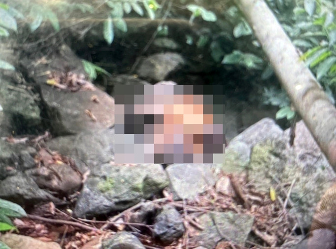 Phat hien thi the nguoi phu nu khong mac ao trong rung