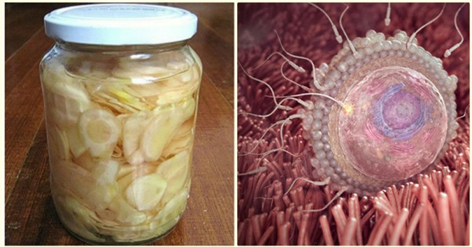 Loai cu re tien khong ngo tang chat luong ''tinh binh'', day lui ung thu