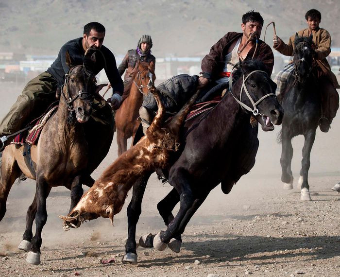 Buzkhasi là một trong những trò chơi truyền thống được yêu thích nhất ở hành lang Wakhan. Trò chơi được gọi là bóng bầu dục trên lưng ngựa và sử dụng một con dê thay thế cho quả bóng. Trong buzkhasi không có quy tắc, không có đội nhóm, cũng không có khái niệm "fair play" vì những người tham gia sẽ dùng mọi cách thức để cướp dê. Ở những vùng đất khác của Afghanistan, buzkhasi thường mang tính chính trị để tầng lớp thượng lưu giành được phiếu bầu, nhưng tại hành lang Wakhan đây chỉ là trò chơi mang tính cộng đồng. Ảnh: Mutually.