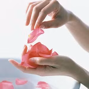 Một bàn tay mềm mại sẽ tăng thêm nét quyến rũ cho chị em