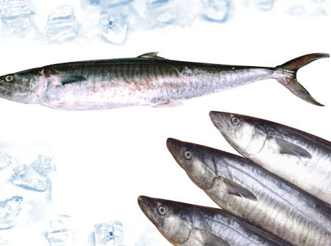 Tránh sử dụng các loại cá có nguồn thủy ngân cao như cá mập, cá kiếm, cá thu, cá cờ… Chỉ nên ăn một lượng nhỏ các loại cá có lượng thủy ngân thấp như cá hồi, cá ngừ, cá trê…