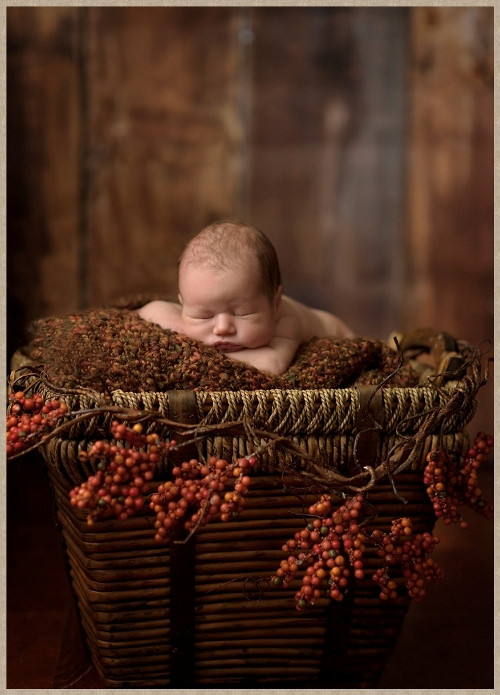 Em bé ngủ trong rừng.