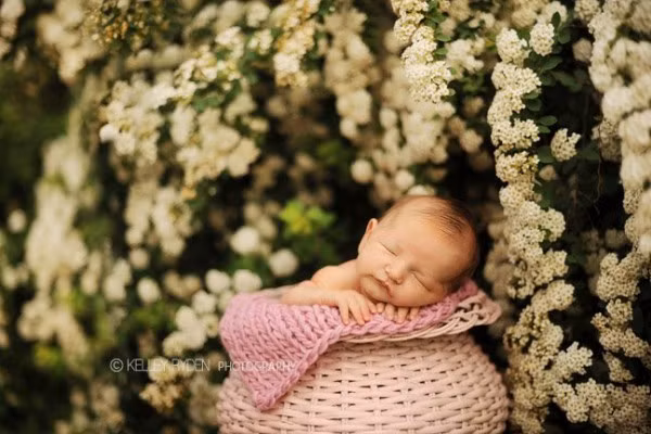 Công chủa ngủ trong rừng.