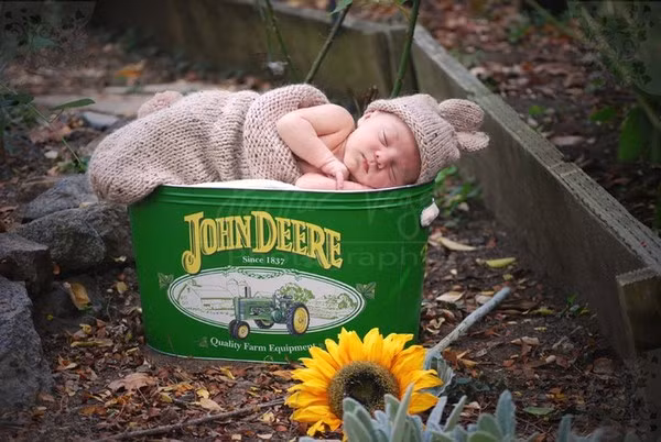 Thiên thần thỏ ngủ dưới khóm hoa hướng dương.