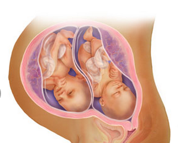 32 tuần tuổi: ở thời điểm này, móng tay và móng chân em bé đã bắt đầu hình thành, một số bé phát triển nhanh còn có cả tóc.