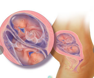 20 tuần tuổi: Nếu bạn nói chuyện thì bé có thể nghe thấy giọng nói của mẹ rồi đấy. Tóc của bé bắt đầu mọc, da phát triển một lớp mỡ màu trắng có tác dụng bảo vệ cơ thể trong nước ối.