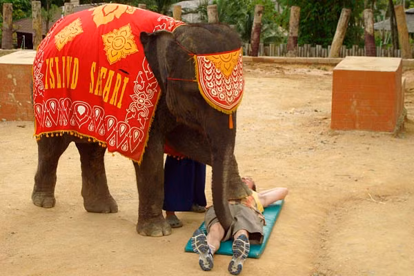 Rất nhiều du khách thích thú với dịch vụ massage kỳ lạ này.