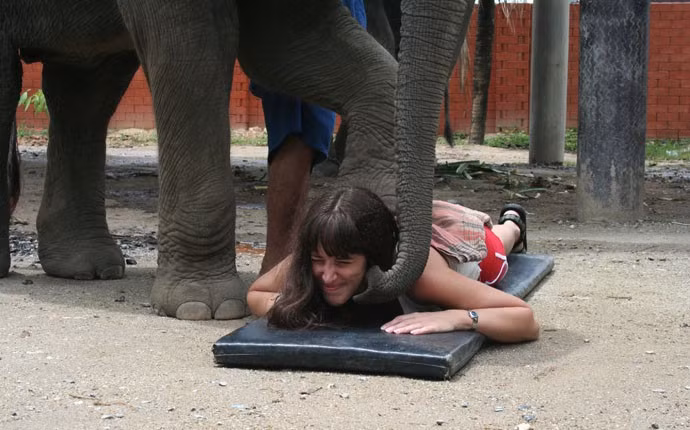 Trong khi dùng chân để massage, chú voi này còn dùng vòi để gây cười cho du khách.