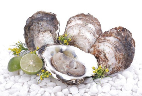 Chế độ ăn thiếu nước và thiếu kẽm. Chưa có kết luận chính xác về nguyên nhân gây ra chứng chuột rút ở chân trong các hoàn cảnh nói chung và trong khi “quan hệ” nói riêng. Một số chuyên gia cho rằng, có thể do cơ thể xảy ra những yếu tố bất thường trong quá trình điện phân (quá trình điện phân cần có sự tham gia của các nguyên tố hóa học hay những dạng vật chất của hóa học trong cơ thể). Bạn cũng nên xem lại chế độ ăn uống của mình. Cơ thể quá thiếu nước hay thiếu kẽm cũng sẽ dễ dẫn đến chuột rút.